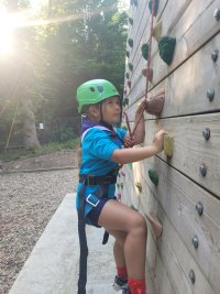 beaver scout photo